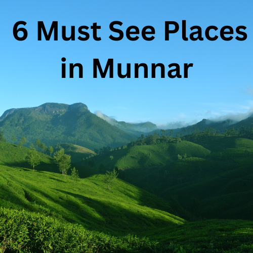 6 Must See Places in Munnar