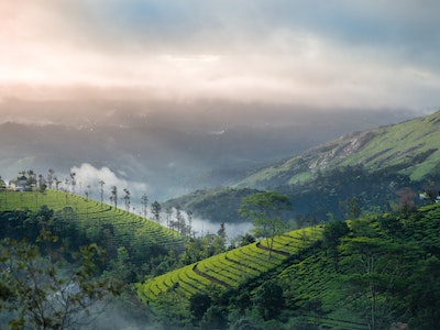 Romantic Escapes: Nature’s Beauty Unveiled in Kerala – Perfect Honeymoon Destinations with Kerala Honeymoon Packages from Hyderabad