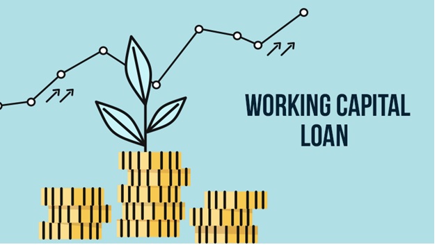 “Fuel Your Startup Journey with BizCashAndCapital: Working Capital Loans Tailored for Success