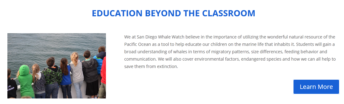 Best Whale Watching in San Diego: A Spectacular Ocean Adventure!