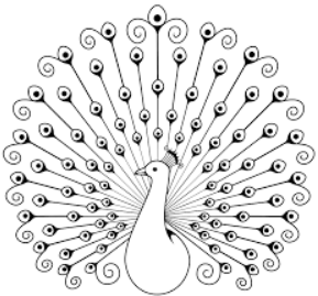 Draw a peacock