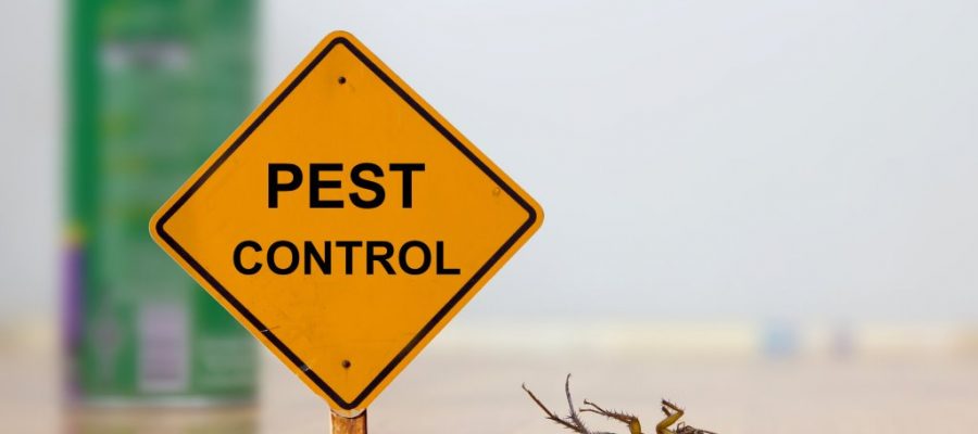 Why pest control is important?