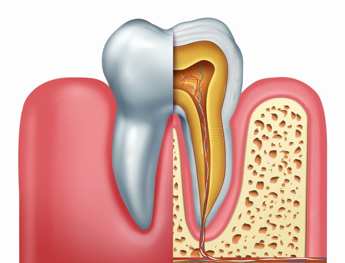 Dubai’s Most Trusted Root Canal Treatment Centers