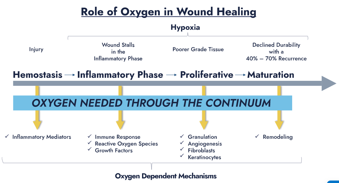 Pressure Ulcers: Compassionate Care and Preventive Strategies