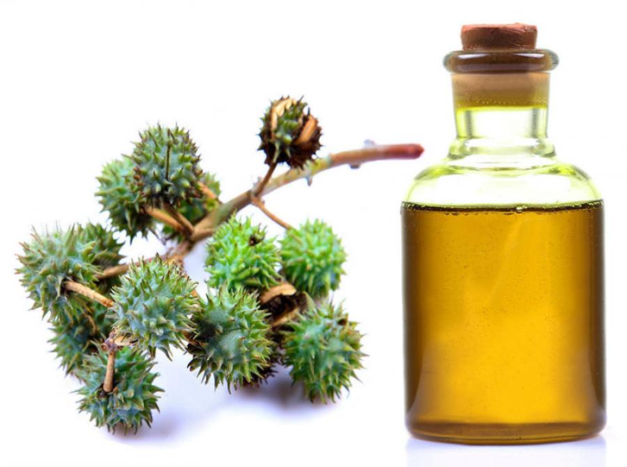 Castor Oil Market