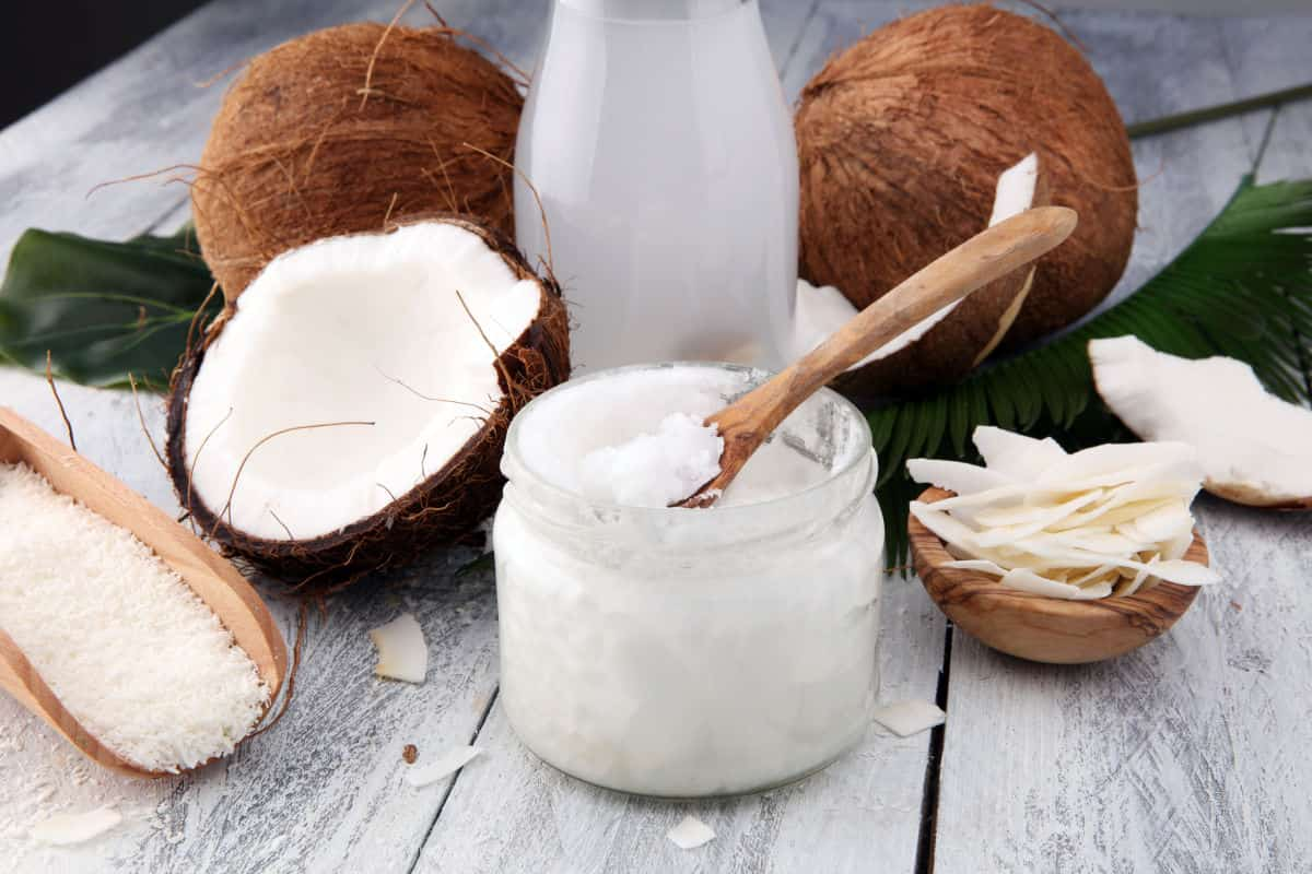 Coconut Milk Products